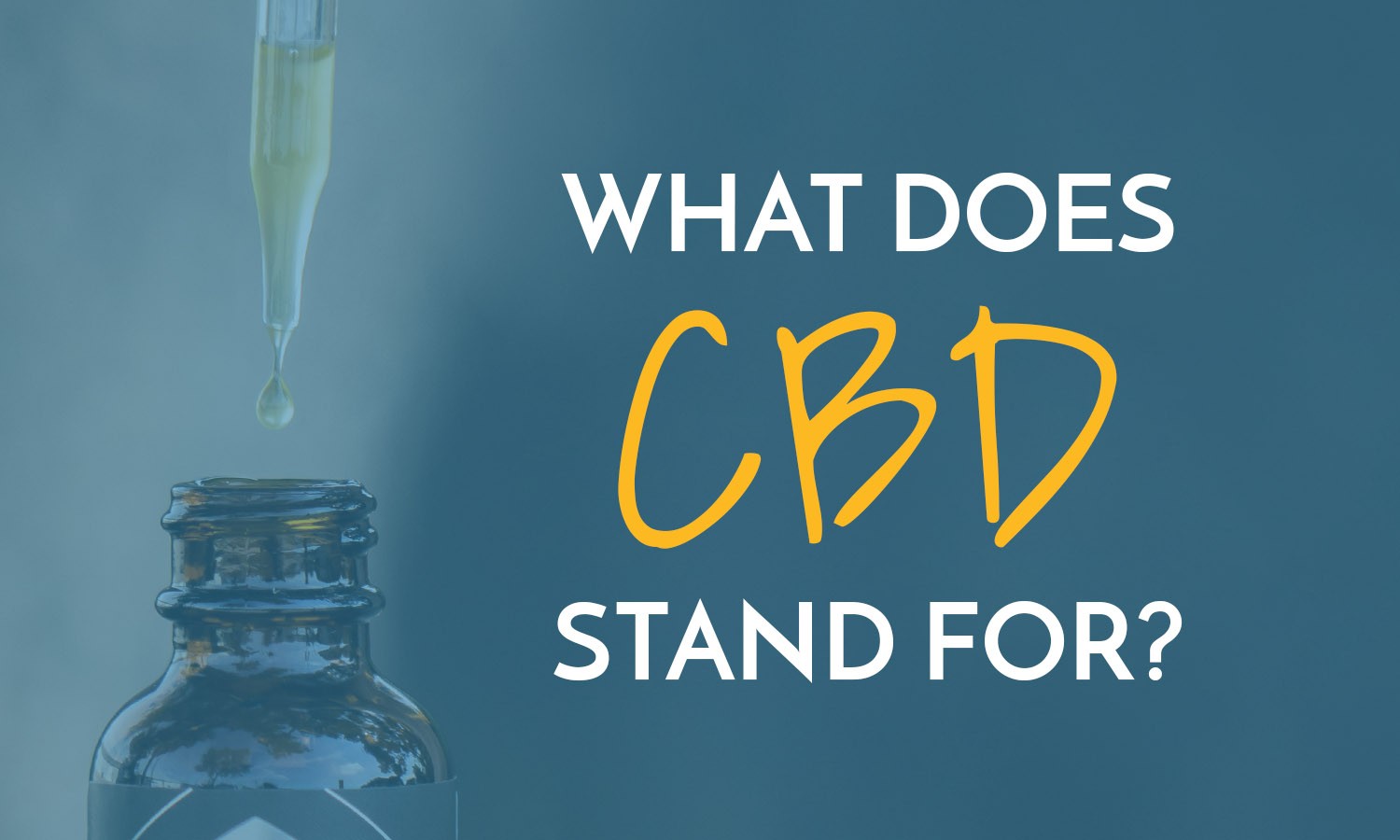 what-does-cbd-stand-for-omnilit
